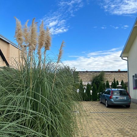 Appartamento Nest Zen Garden Novi Sad Esterno foto