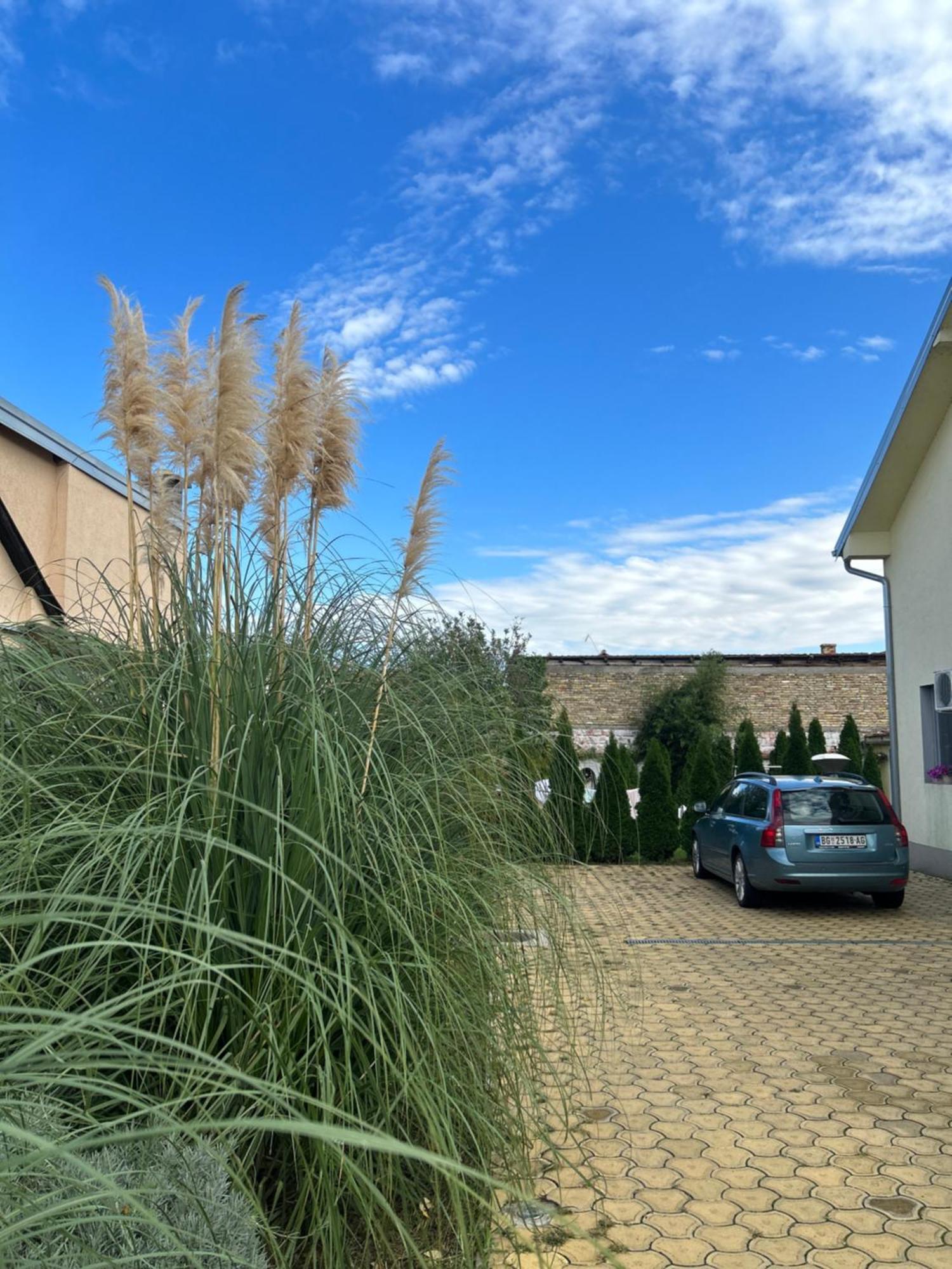 Appartamento Nest Zen Garden Novi Sad Esterno foto