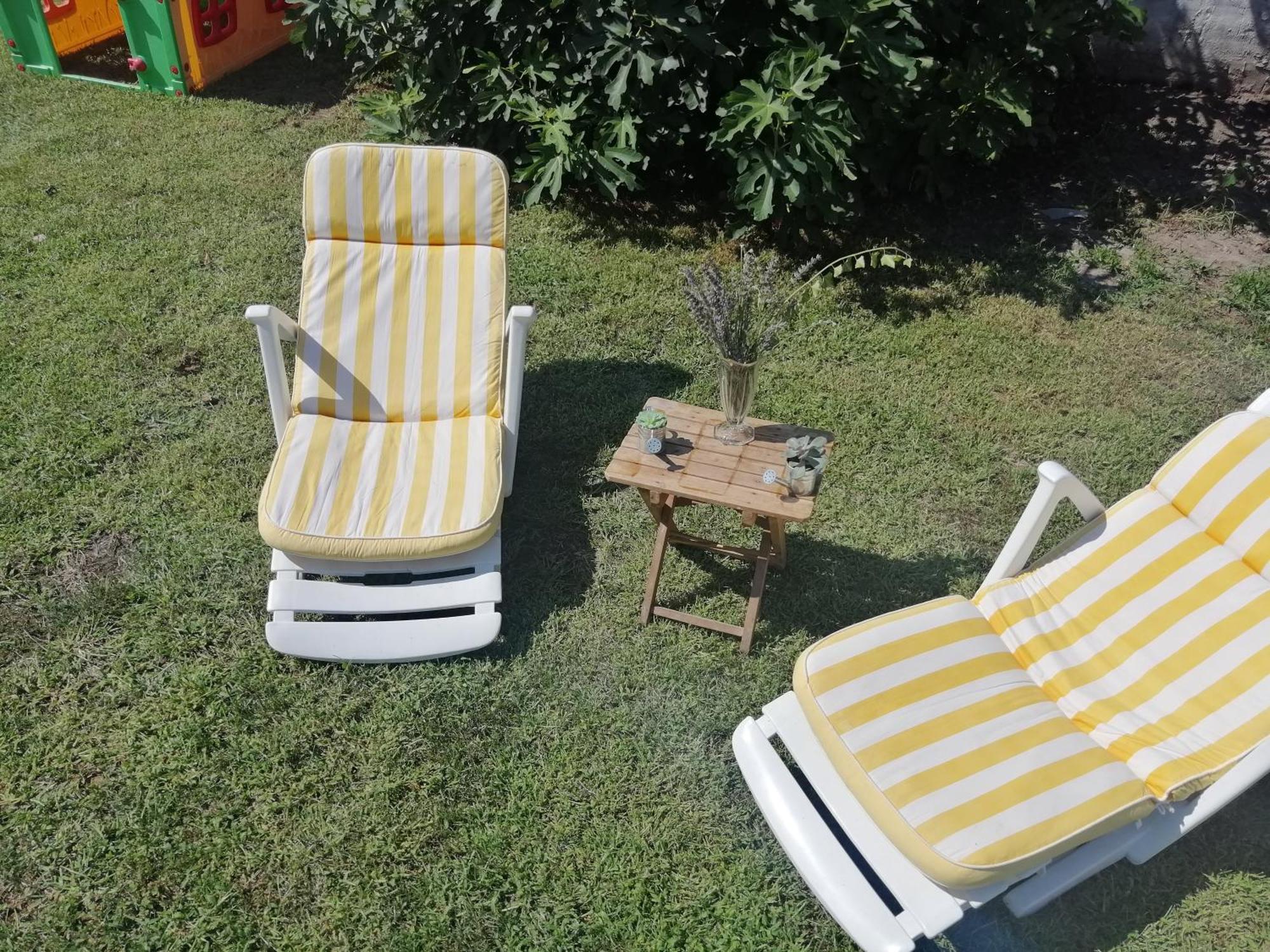 Appartamento Nest Zen Garden Novi Sad Esterno foto